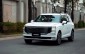 SUV cỡ lớn Hyundai Palisade 2026 lộ lịch trưng bày tại Việt Nam?